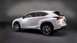 Lexus NX 200t (2014) - lewy bok