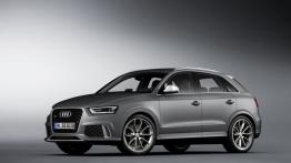 Audi RS Q3 (2014) - lewy bok