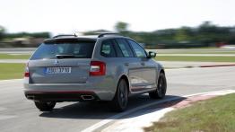 Skoda Octavia III RS Kombi 2.0 TDI (2013) - widok z tyłu