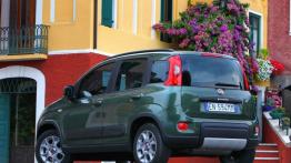 Fiat Panda III 4x4 - widok z tyłu