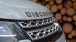 Land Rover Discovery Sport - galeria redakcyjna - grill