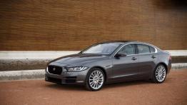 Jaguar XE 2.0d Ammonite Grey (2015) - lewy bok