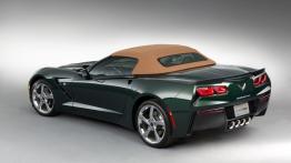 Chevrolet Corvette C7 Stingray Cabrio (2014) - tył - reflektory wyłączone