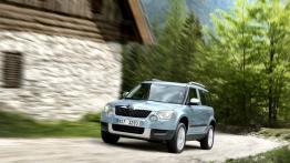 Skoda Yeti 2011 - widok z przodu