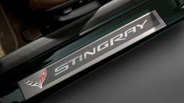 Chevrolet Corvette C7 Stingray Cabrio (2014) - listwa progowa