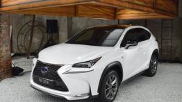 Lexus NX 300h (2014) - widok z przodu