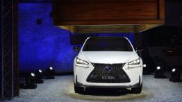 Lexus NX 300h (2014) - widok z przodu