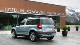 Skoda Yeti 2011 - widok z tyłu