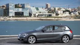 BMW 120d xDrive F20 Facelifting (2015) - lewy bok