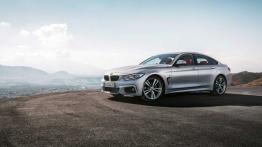 BMW 435i Gran Coupe (2014) - lewy bok