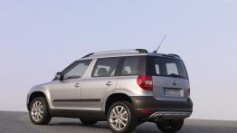Skoda Yeti 2011 - widok z tyłu