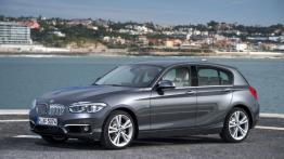 BMW 120d xDrive F20 Facelifting (2015) - lewy bok