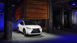 Lexus NX 300h (2014) - widok z przodu