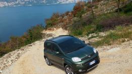 Fiat Panda III 4x4 - widok z góry