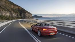BMW Z4 Roadster Facelifting - widok z tyłu