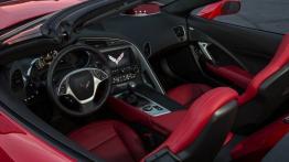 Chevrolet Corvette C7 Stingray Cabrio (2014) - pełny panel przedni