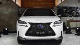 Lexus NX 300h (2014) - widok z przodu