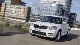 Skoda Yeti Facelifting (2014) - widok z przodu