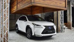 Lexus NX 300h (2014) - widok z przodu