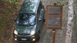 Fiat Panda III 4x4 - widok z góry