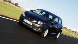Seat Ibiza 2008 - widok z przodu