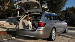 BMW Seria 5 F11 - tył - bagażnik otwarty