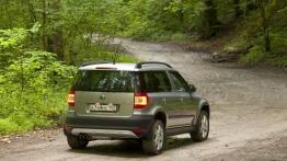Skoda Yeti w Odessie - galeria redakcyjna - widok z tyłu