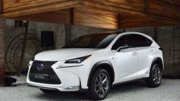 Lexus NX 300h (2014) - lewy bok