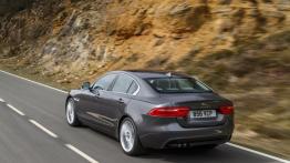Jaguar XE 2.0d Ammonite Grey (2015) - widok z tyłu