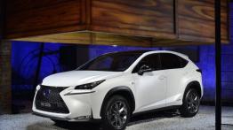 Lexus NX 300h (2014) - lewy bok