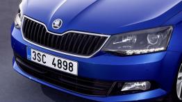 Skoda Fabia III hatchback (2015) - grill