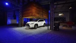 Lexus NX 300h (2014) - lewy bok