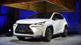 Lexus NX 300h (2014) - widok z przodu