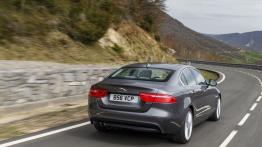 Jaguar XE 2.0d Ammonite Grey (2015) - widok z tyłu