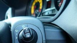 "Męska rzecz" - Renault Clio