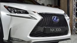 Lexus NX 300h (2014) - grill