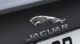 Jaguar XE 2.0d Ammonite Grey (2015) - emblemat