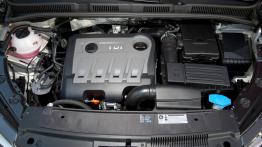 Seat Alhambra 2011 - silnik