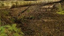 Skoda Yeti Facelifting (2014) - lewy bok