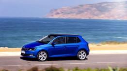 Skoda Fabia III hatchback (2015) - lewy bok