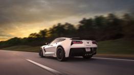 Chevrolet Corvette C7 Z06 (2015) - widok z tyłu
