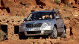 Skoda Yeti 2011 - widok z przodu