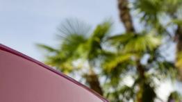 Mercedes SLS AMG Roadster 2012 - emblemat