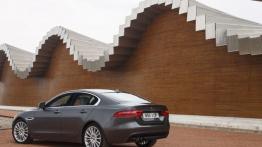 Jaguar XE 2.0d Ammonite Grey (2015) - widok z tyłu