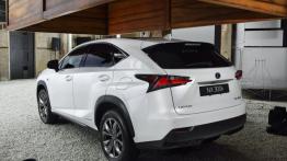 Lexus NX 300h (2014) - widok z tyłu
