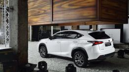Lexus NX 300h (2014) - widok z tyłu