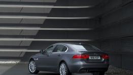 Jaguar XE 2.0d Ammonite Grey (2015) - widok z tyłu