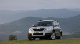 Skoda Yeti w Odessie - galeria redakcyjna - widok z przodu