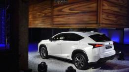 Lexus NX 300h (2014) - widok z tyłu