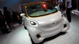 Frankfurt Motor Show 2011 na żywo - prototypy cz. 2 - inne zdjęcie